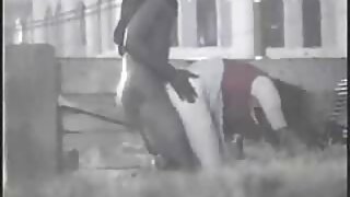 سنہرے بالوں والی ماڈ ...